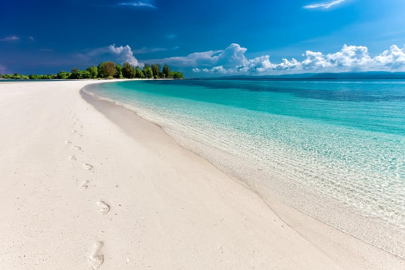 Tropical Smoothie